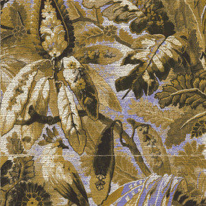 Tropicali
