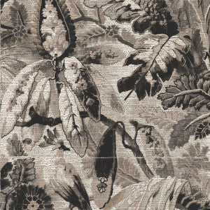 Tropicali