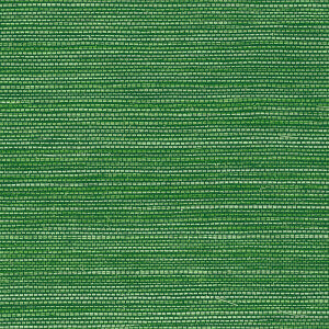 Marsh