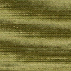 Agave