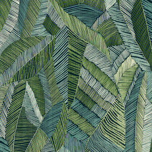 Chintz