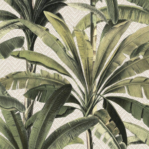 Palmera