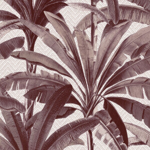 Palmera