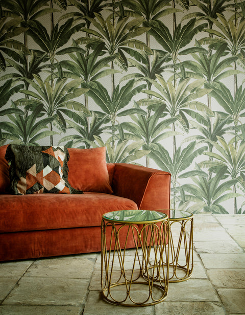 Palmera