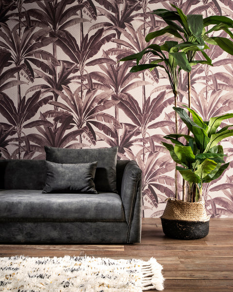 Palmera