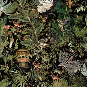 Menagerie Of Extinct Animals