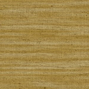 Lignes