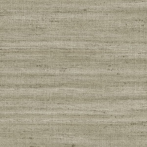 Lignes