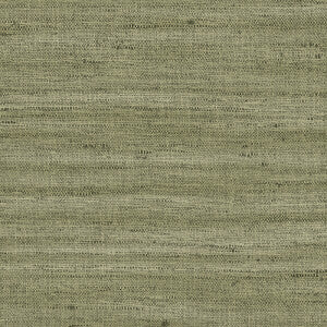 Lignes