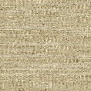 Lignes