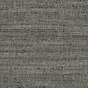 Lignes
