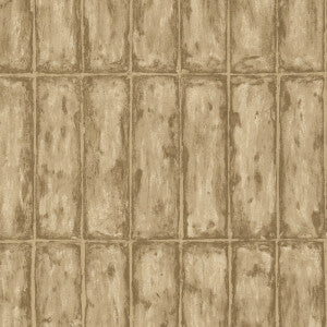 Chalk Stone