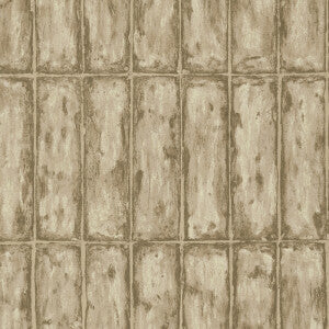Chalk Stone