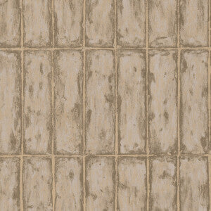 Chalk Stone