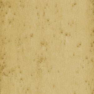 Stellar