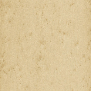 Stellar