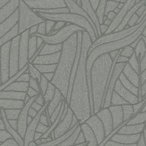 Strelitzia