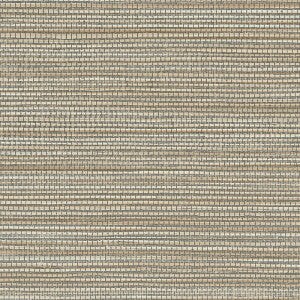 Marsh - Textura