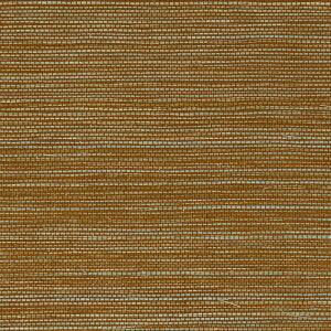 Marsh - Textura