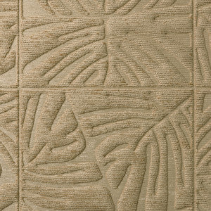 Monstera