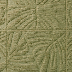 Monstera