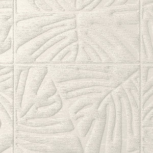 Monstera